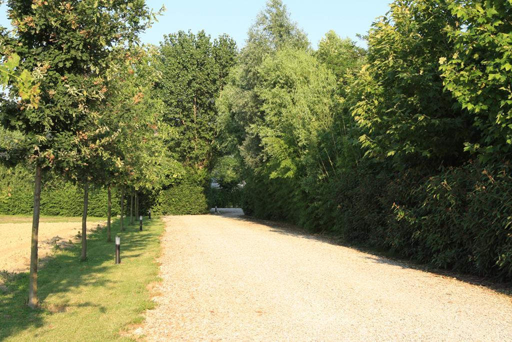 Agriturismo B&B Il Girasole Oriago Di Mira Buitenkant foto